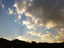 静岡大道芸にそそられて・・・