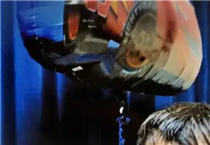 3歳