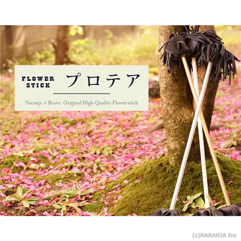 フラワースティック プロテア 1