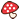 赤いきのこ