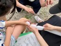 (活動画像)
