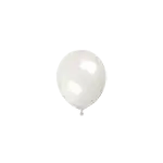 4/B_R 10インチ クリア (逆止弁なし) クリア