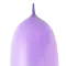(画像)ライラック