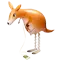 (画像)お散歩 カンガルー