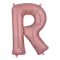 (画像)R