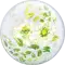 (画像)デコバブル 白薔薇